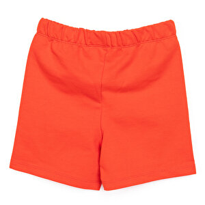 Spider- Man Erkek Şort Erkek Bebek