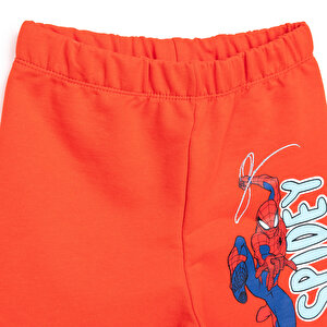 Spider- Man Erkek Şort Erkek Bebek