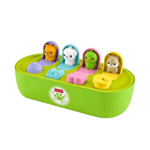 Sürpriz Hayvan Dostlarım Sürpriz Hayvan Dostlarım