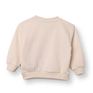 Erkek Bebek Sweatshirt Şardonlu İki İplik Bisiklet Yaka Uzun Kol Erkek Bebek Sweatshirt Şardonlu İki İplik Bisiklet Yaka Uzun Kol