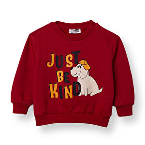 HelloBaby Sweatshirt, Kırmızı, 3 - 6 Ay