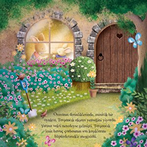 Tavşancık Ve Gece Macerası