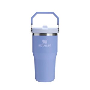The IceFlow Flip Straw Tumbler 600ml Mav