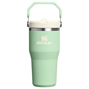 The IceFlow Flip Straw 2.0 Tumbler 0.6L