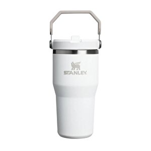 IceFlow Flip Straw Tumbler Termos