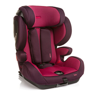Recaro Tian 9-36 Kg Oto kol, Power Berry