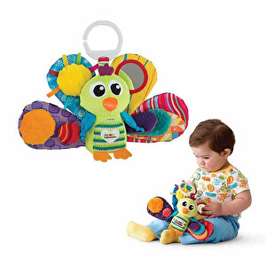 Ağaçkakan Ağaçkakan