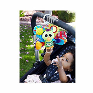 Ağaçkakan Ağaçkakan