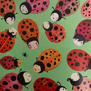 Uğur Böceği Uç Uç Lusi