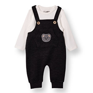 HelloBaby, Yenidoğan,  Kahverengi, 9 Ay