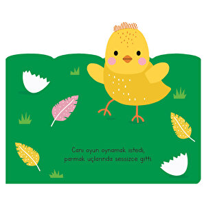 Uykusu Kaçan Minikler -Çiftlik Arkadaşları Uykusu Kaçan Minikler -Çiftlik Arkadaşları