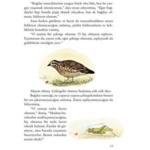 Yaz Masalları Yaz Masalları