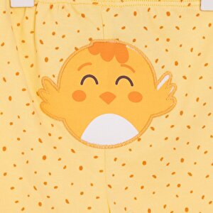 Yenidoğan Arkası Nakışlı Patikli Alt Kız Bebek