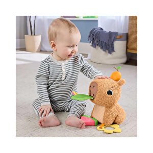 Yumuşak Kapibara Yumuşak Kapibara