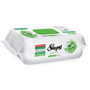 Sleepy Yüzey Temizlik Çam Ferahlığı 100