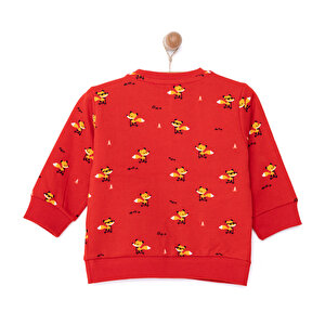 Erkek Bebek Sweatshirt Şardonlu  Wild One Baskılı Çıtçıtlı Bisiklet Yaka Uzun Kol